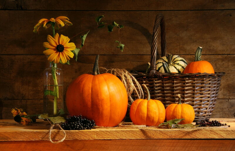 Pumpkins and Gourds — Orange, Dramatic