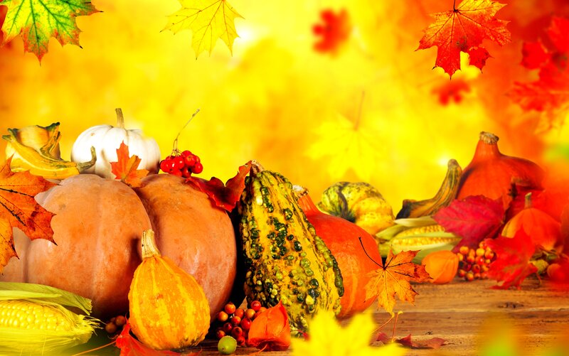 Pumpkins and Gourds — Orange, Festive, Autumn