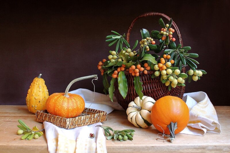 Pumpkins and Gourds — Orange, Serene