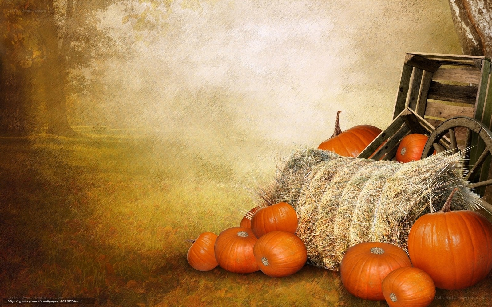 Pumpkins and hay bale