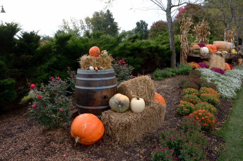 Pumpkins and Hay Bales — Orange