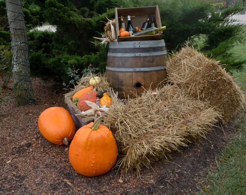 Pumpkins and Hay Bales