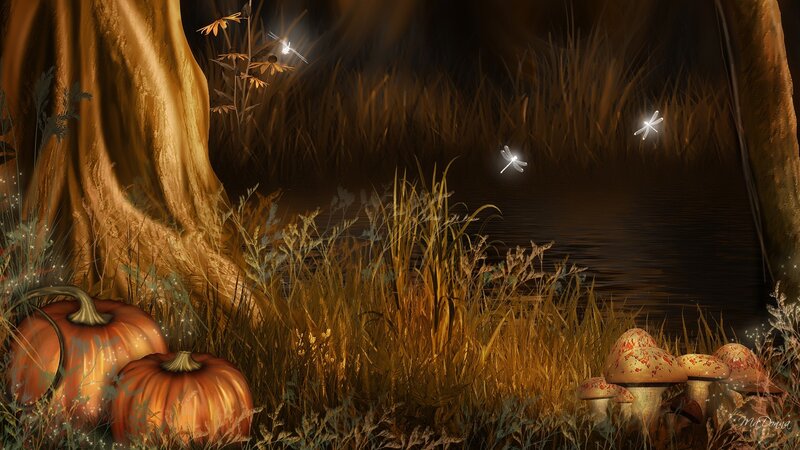 Pumpkins and Mushrooms in Forest