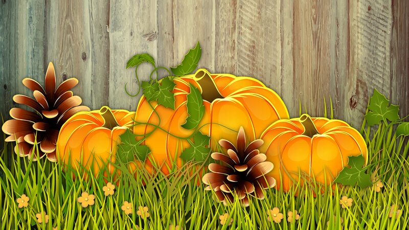 Pumpkins and Pinecones