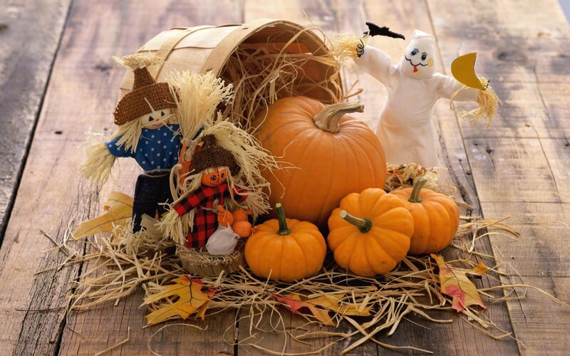 Pumpkins and Scarecrows — Orange, Festive, Autumn
