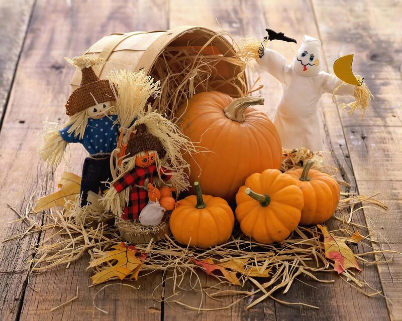 Pumpkins and Scarecrows — Orange