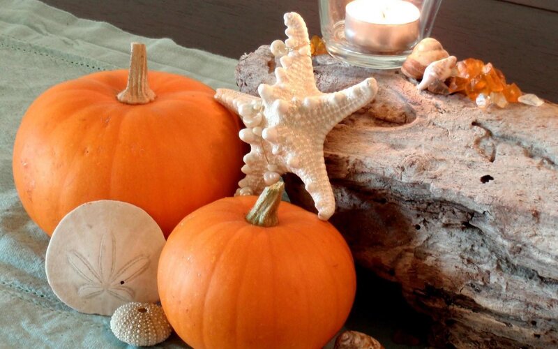 Pumpkins and Seashells — Orange