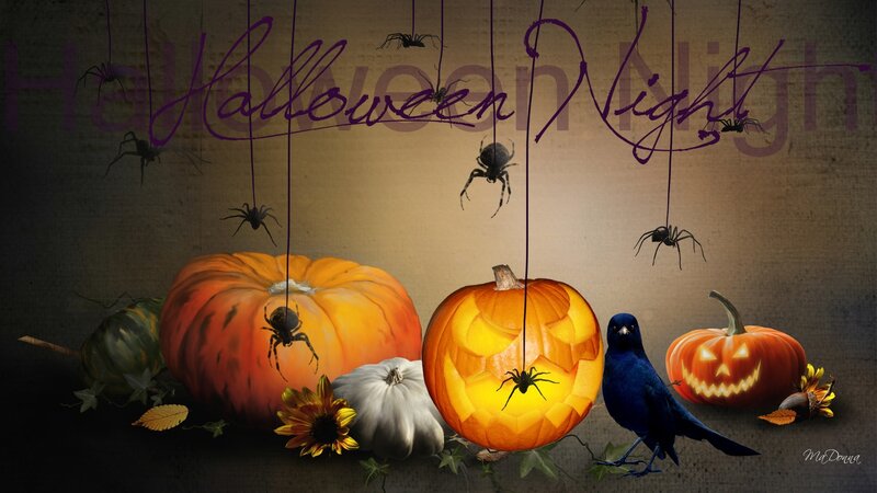 Pumpkins and Spiders