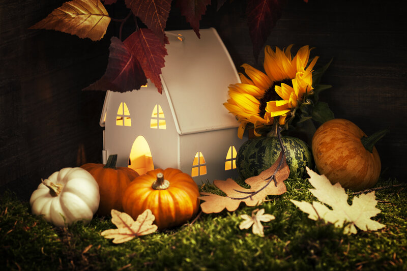 Pumpkins and Sunflower
