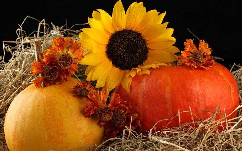 Pumpkins and sunflowers on hay