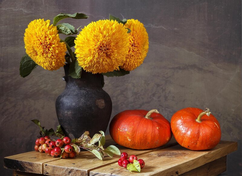 Pumpkins and Sunflowers — Orange, Calm