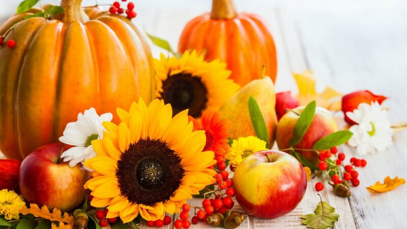 Pumpkins and Sunflowers — Orange, Festive, Autumn