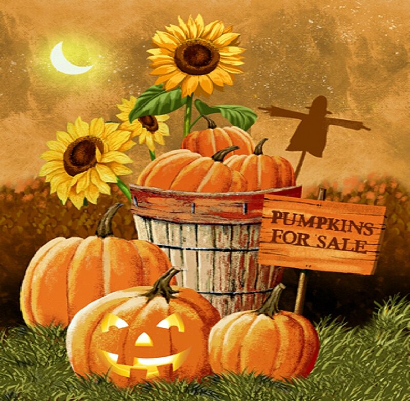 Pumpkins and Sunflowers — Orange, Festive