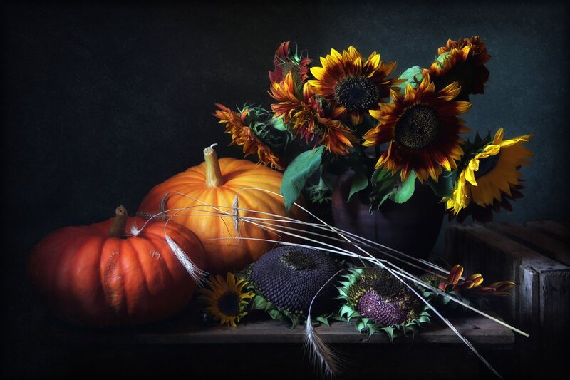 Pumpkins and Sunflowers — Orange