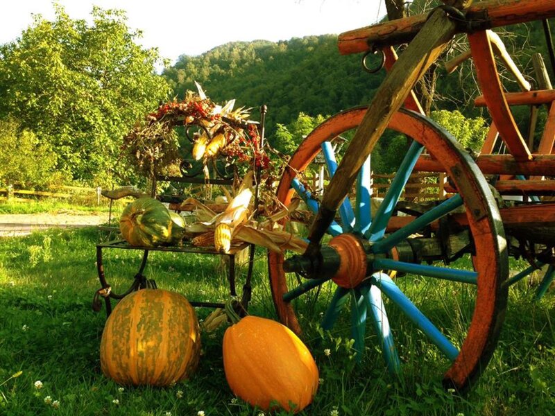 Pumpkins and Wagon Wheel — Green
