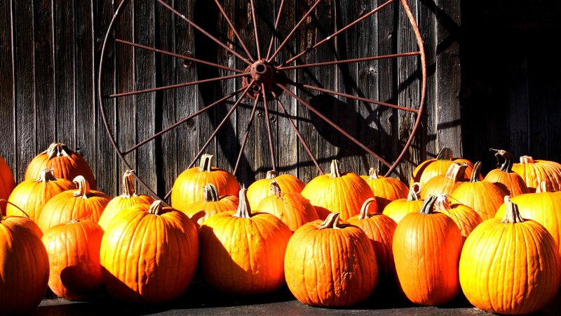 Pumpkins and Wagon Wheel — Orange, Dramatic