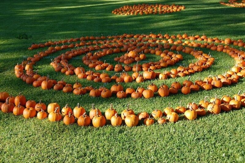 Pumpkins Arranged in Spiral