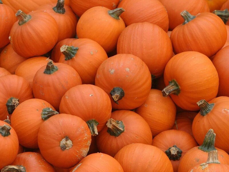 Pumpkins at a market