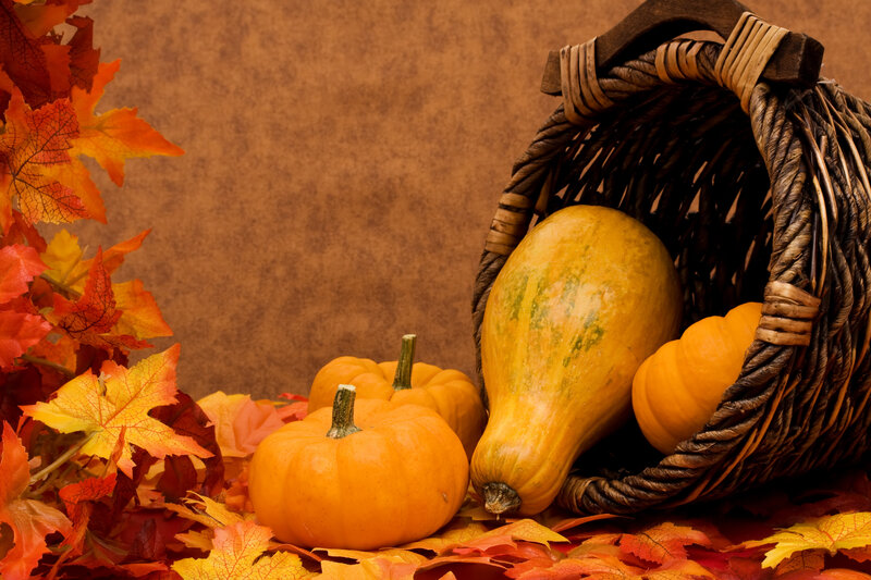 Pumpkins in a Basket — Orange, Autumnal, Autumn, Photograph
