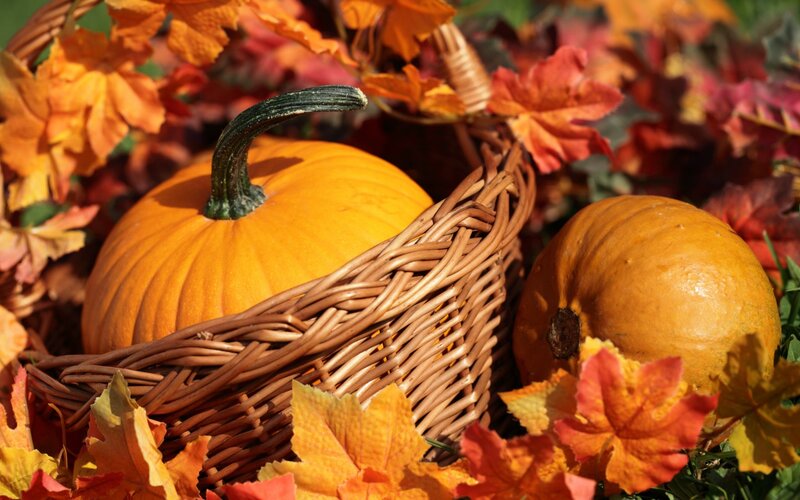 Pumpkins in a Basket — Orange, Autumnal, Autumn