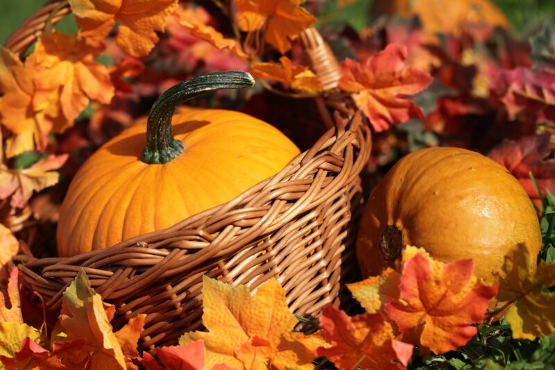 Pumpkins in a Basket — Orange, Autumnal
