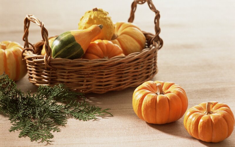 Pumpkins in a Basket — Orange, Calm, Autumn