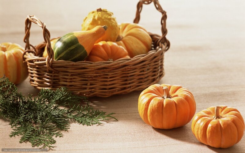 Pumpkins in a basket