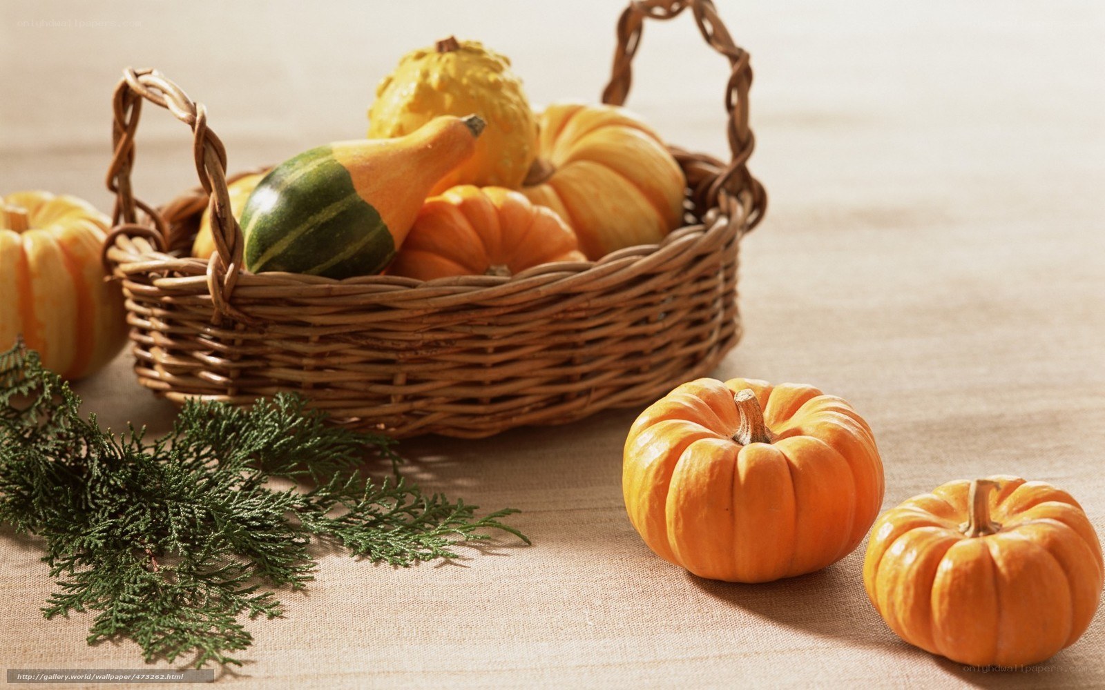 Pumpkins in a basket