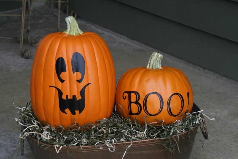 Pumpkins in a Bucket