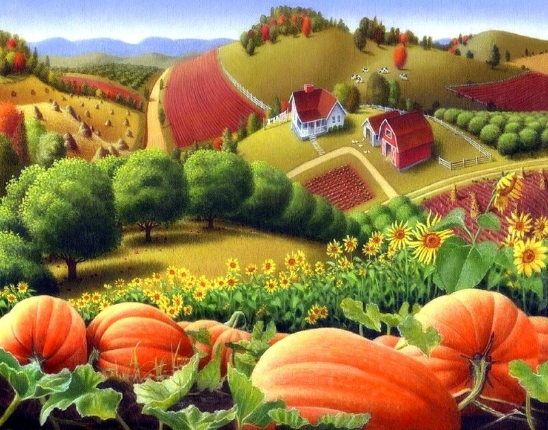 Pumpkins in a Farm Field