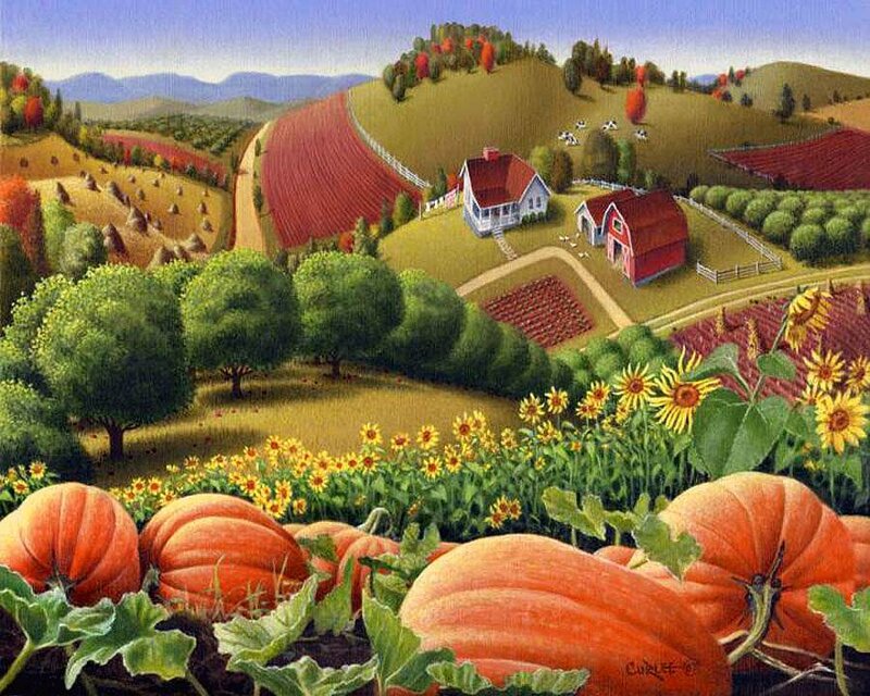 Pumpkins in a Farm