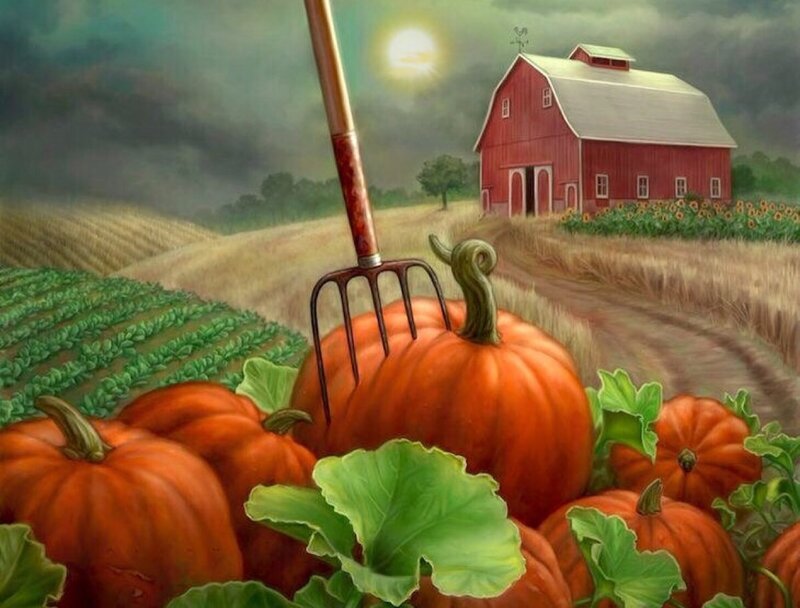 Pumpkins in a Field — Orange, Dramatic, Night