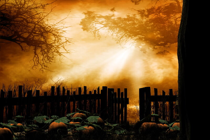 Pumpkins in a Field — Orange, Dramatic, Sunset
