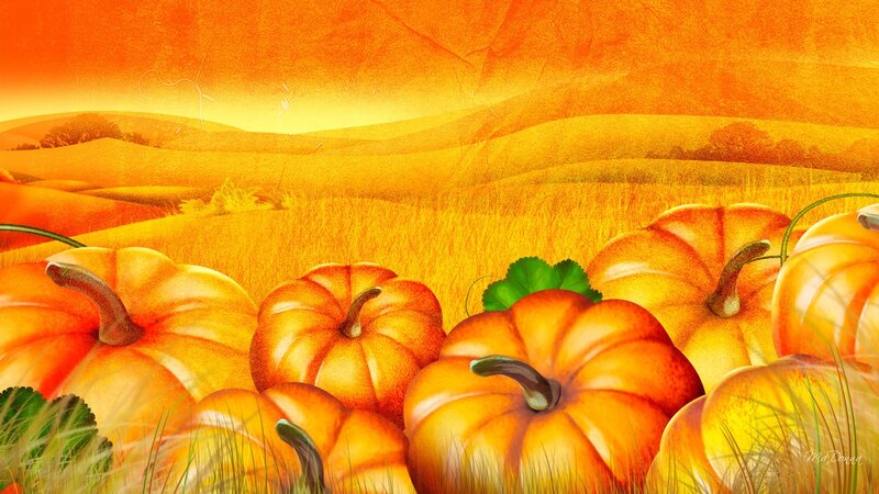 Pumpkins in a Field — Orange, Serene