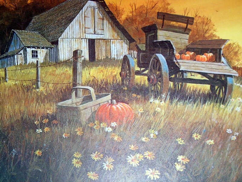 Pumpkins in a Field — Orange