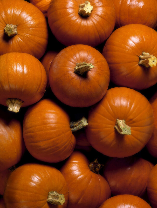 Pumpkins in a pile