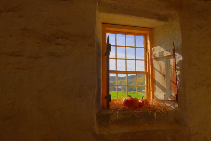 Pumpkins in a window