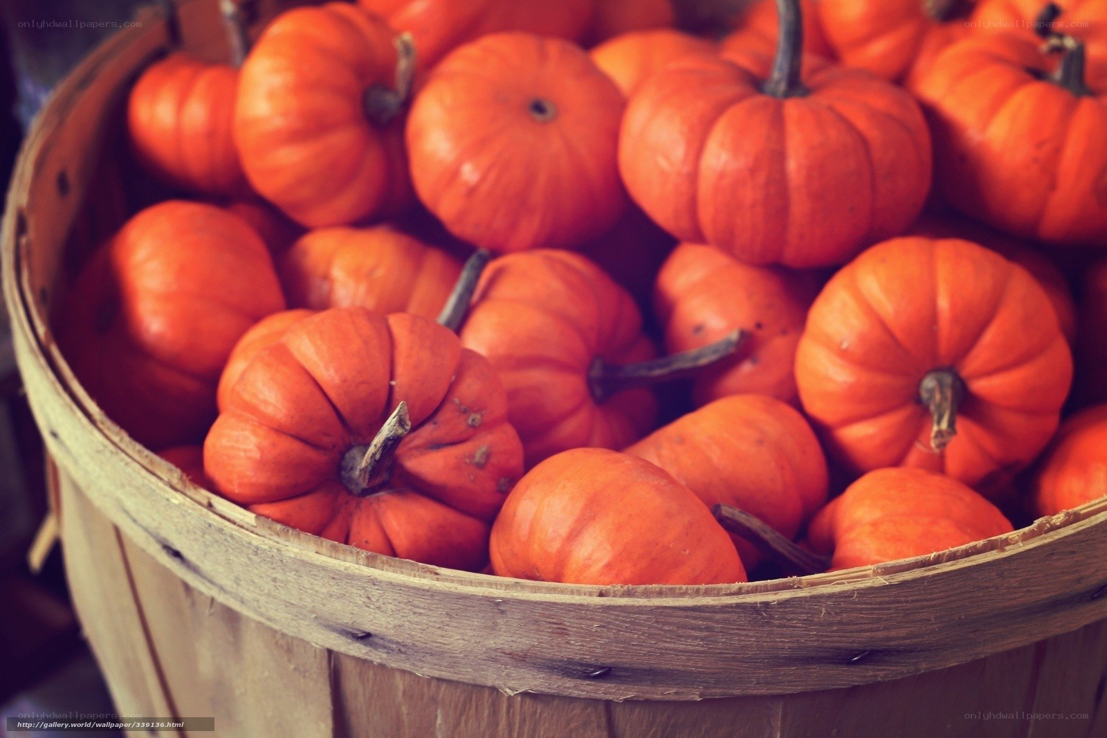 Pumpkins in a wooden basket