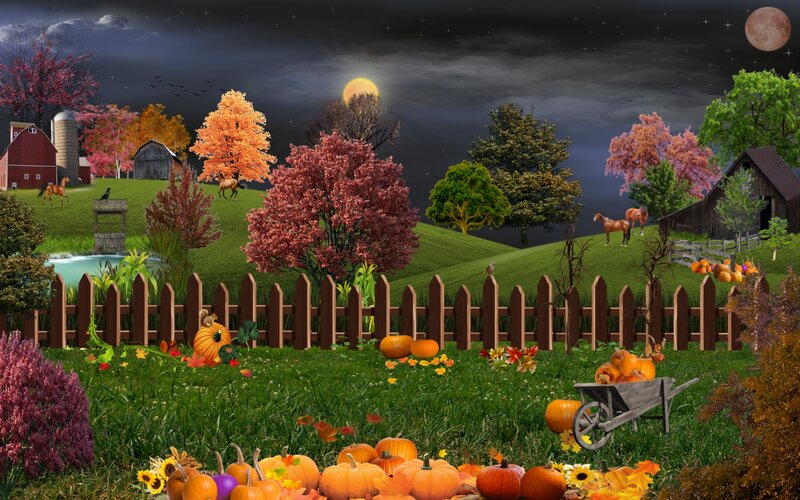 Pumpkins in Autumn Field — Green