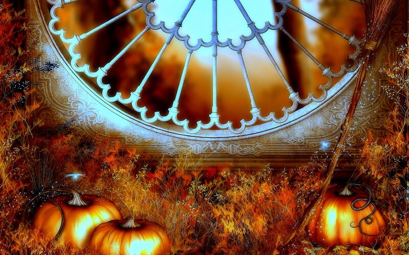 Pumpkins in Autumn Grass — Orange