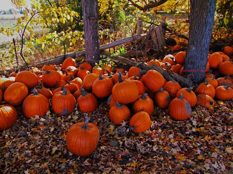 Pumpkins in Autumn Leaves — Orange