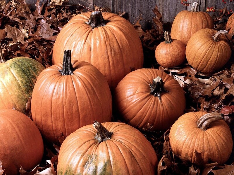 Pumpkins in autumn leaves