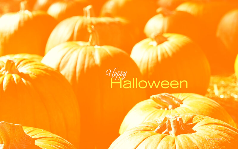 Pumpkins in Autumn