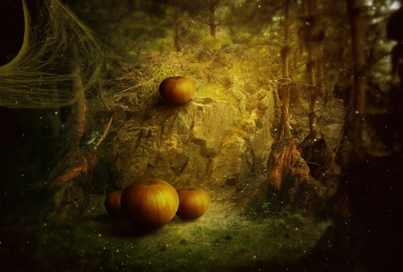 Pumpkins in Forest