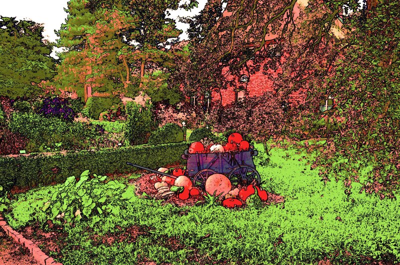 Pumpkins in Garden Cart