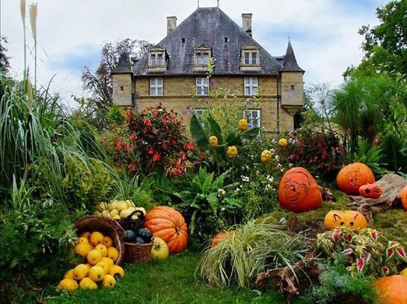 Pumpkins in Garden — Green, Festive