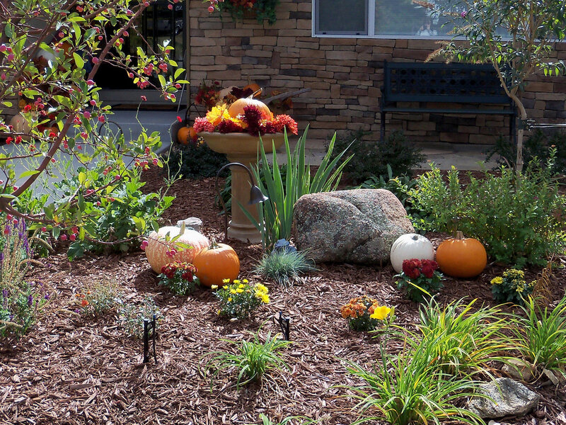 Pumpkins in Garden