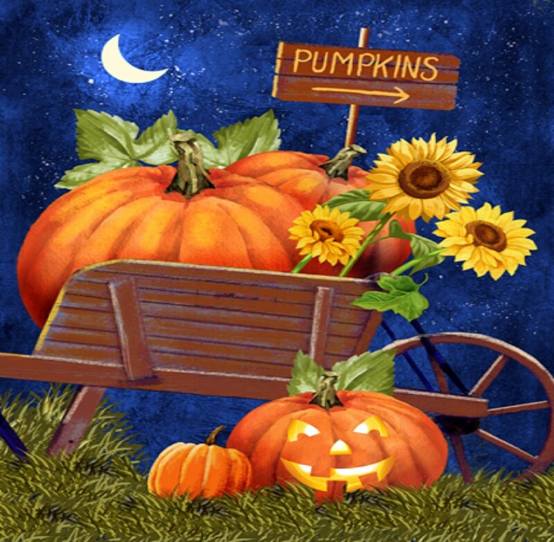 Pumpkins in Wheelbarrow — Orange