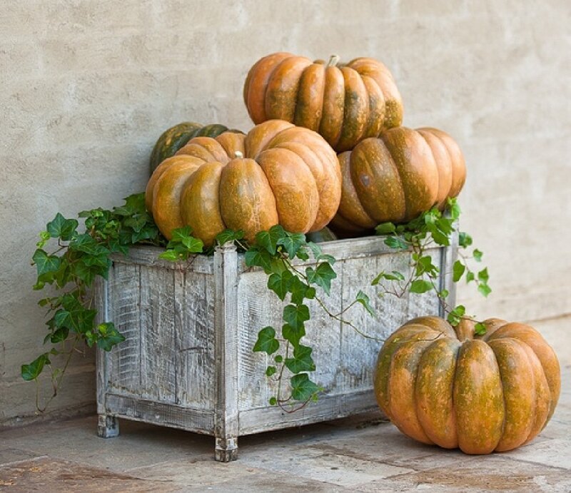 Pumpkins in Wooden Box