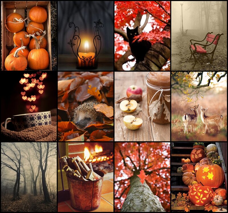 Pumpkins in Wooden Crate